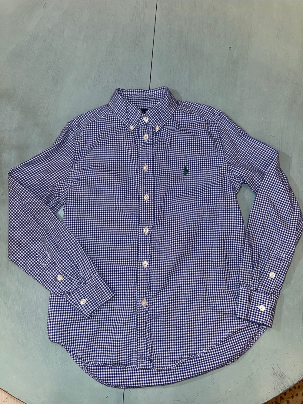 Polo by Ralph Lauren Navy and White Gingham Button-Down Shirt